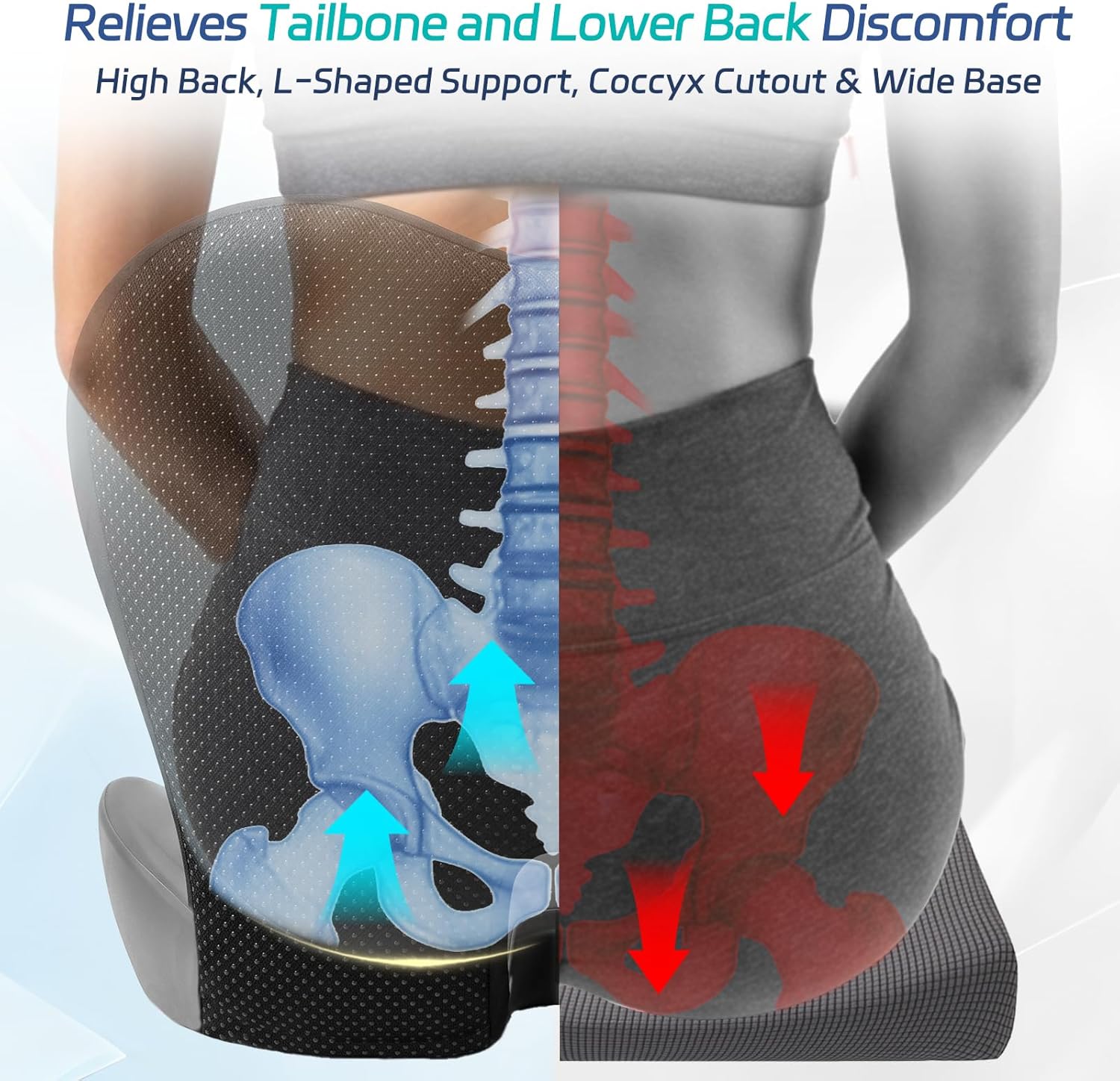 Ergonomic Memory Foam Back & Seat Cushion Set for Lumbar Support & Tailbone Pain Relief Zevon