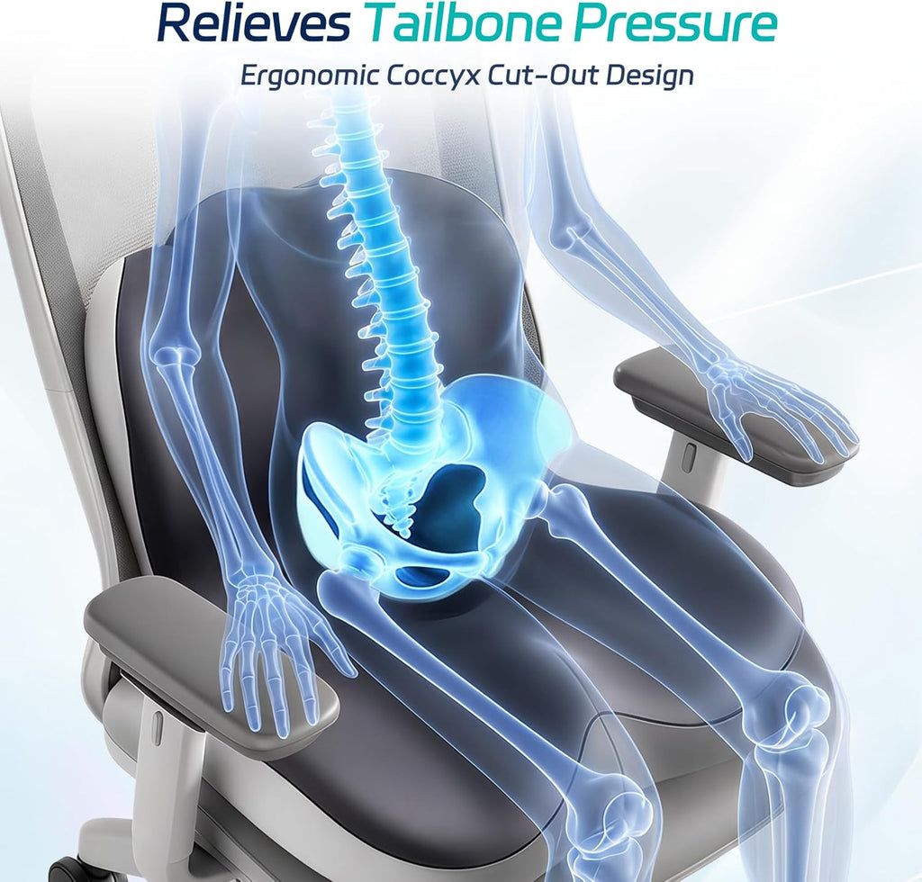 Ergonomic Memory Foam Back & Seat Cushion Set for Lumbar Support & Tailbone Pain Relief Zevon